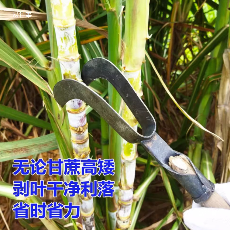 修甘蔗叶刀轻便玉米拔甘蔗剥叶机手动加厚刨除扒刮修整农用