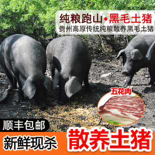 ̫�ͺ�ë���i�� �F�ݸ�ԭ���r�i�� �F�����r��ë���i��