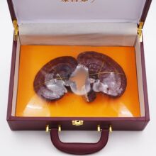 【灵芝礼盒】长白山灵芝 紫灵芝礼盒装 农户自采东北灵芝礼盒批发