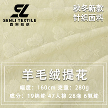 羊毛绒提花现货 冬季保暖四面弹亲肤肌理感婴童女装毛绒衣面料