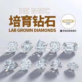 IGI培育钻石18K钻戒铂金婚戒D色VS圆形实验室人工合成裸钻现货
