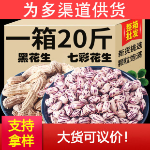 ��ϕ���߲ʻ����ڻ����w��M��/����������������Դ�^���l