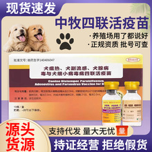 中牧犬四联疫苗土狗养殖场专用预防犬瘟细小肉狗金毛马犬疫苗批发