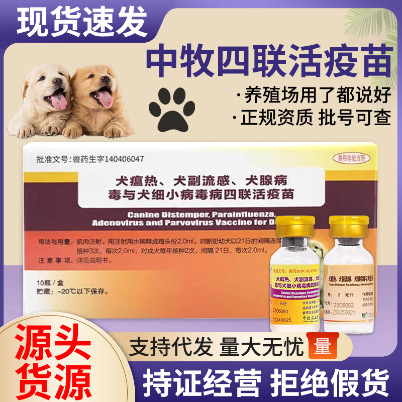 中牧犬四联疫苗土狗养殖场专用预防犬瘟细小肉狗金毛马犬疫苗批发