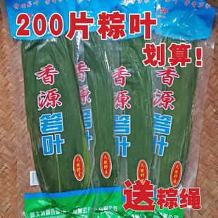 Fresh Bamboo Leaves for Zongzi, Vacuum-Packed Wild Small Bamboo Leaves, Pure Natural, 50 Pieces, 4 Bags, Free Shipping on Amazon