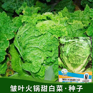 Ye Duobao Горячий горшок с морщинистыми листьями Семена сладкой капусты Листья Больше безглютеновой устойчивости к болезням Осень Китайская капуста Семена овощей