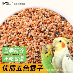 �W�^�B�Z��Ϲ���ĵ����Ƥ���P�Zʳ���B���錣�Î�����ɫ�����S��