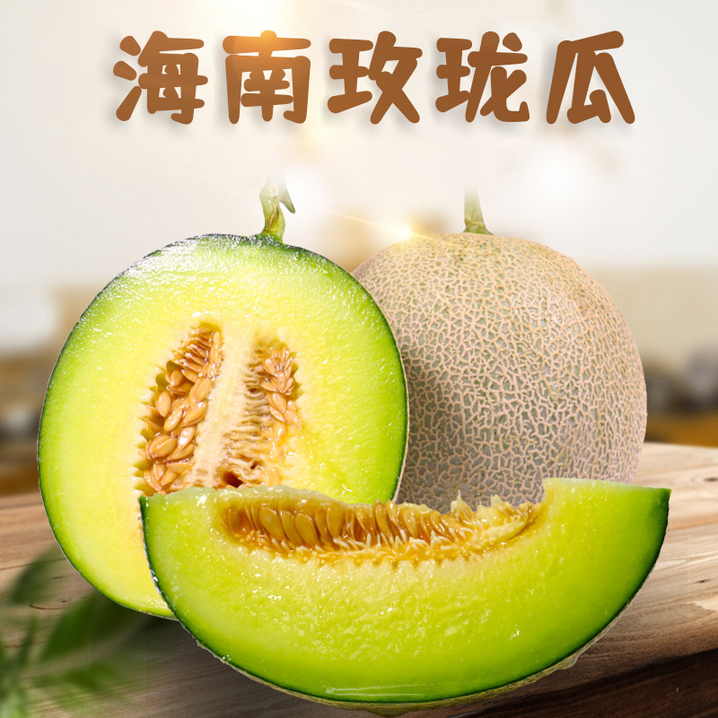 Hainan Meilong Melon Dropshipping 1/ 4.5kg Super Sweet Ice Cream Netted Melon Festival Group Purchase Fresh Fruit Gift Box