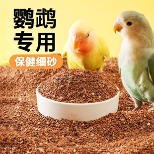 �W�^ɰ�Bʳ��Ƥĵ��С̫����P�I�B�a���B�Z������B�Zʳ