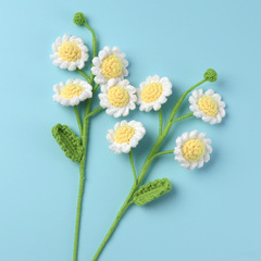 完成品の手作業でクロスボーダーの小さい菊の洋甘菊を編みます。