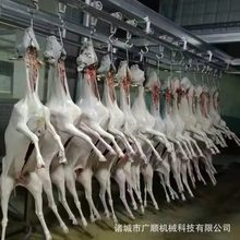 ȫԄÓëC   V혹PëC  ÓëC