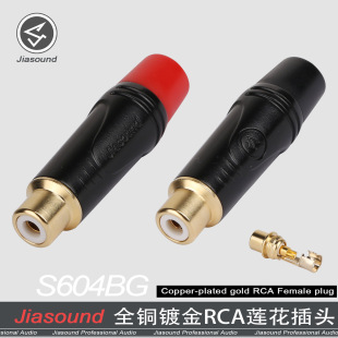 Jiasound���~僽�S604BGɏ���Ӿ�ĸ�^RCAĸ���^��ҕ�l���L�^AV�^