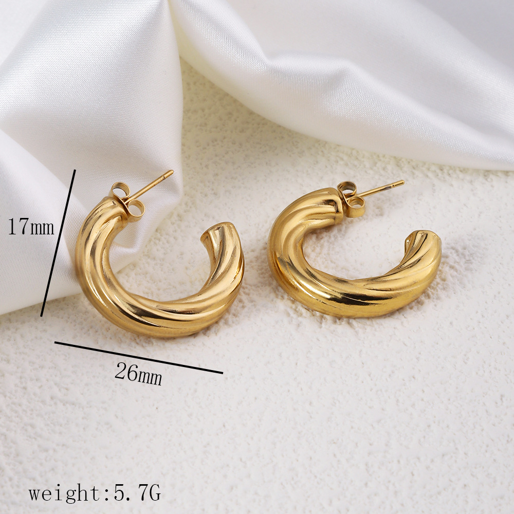 1 Pair Simple Style Commute Geometric Heart Shape Plating Titanium Steel Drop Earrings Earrings Ear Studs display picture 15