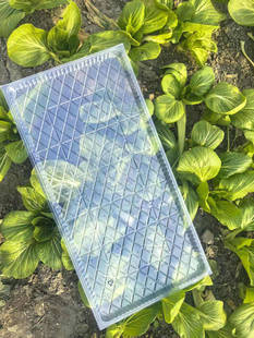 �Ӻ�ˮ�������P �C������P �ȷN����Ѩ�P9��ƽ��ܛ�P �I�B���бP