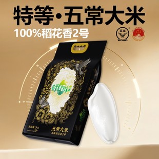 �ص��峣����2025�����״������ڵ������̖�|������10����հ��b