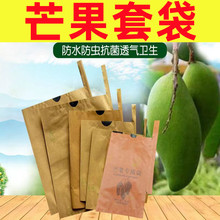 芒果套袋专用袋白色芒果袋子金煌凯特象牙防水防鸟加厚水果保护袋