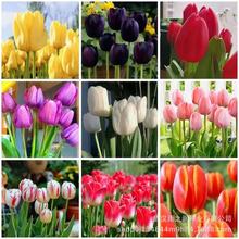 �M��������N���＾�ͺ����ܷN��ˮ�������҃�ͥԺ�÷N������N��