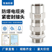 �������m�^���l �������^��|�ܷ�A�o���^  BDM-VIII