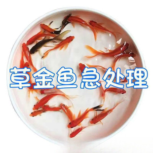 ��ˮ���^�p�~С���~���B�ͻ�С�~����~�ԁ�ˮ���~�\���������l