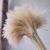 Natural reed whisk flowers, dried flowers, bouquets, window decorations, living room floor-standing ornaments, shooting props, wholesale simulated flowers