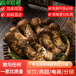 ����������r����������rҰ������Ģ�����ڼ���S���]�a�����l