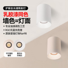 明装小山丘射灯可可蛋奶油中古风家用客厅防眩圆形免开孔智能筒灯
