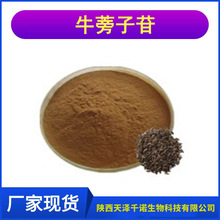 牛蒡子苷 多规格牛蒡子提取物 牛蒡子甙/苷 原料供应 现货