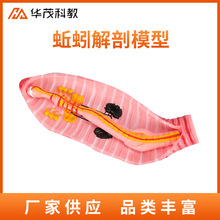 ������ģ�ͳ�������̌W��ʾ�̾߭h���������ģ��