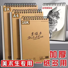 笔记本记事本;其他簿本册;素描本