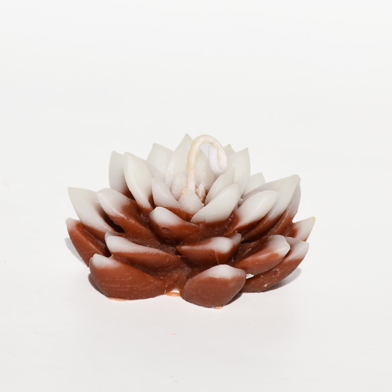 Plantas suculentas flores vela decoración del hogar en el viento regalos de boda regalo de navidad ideas de cumpleaños