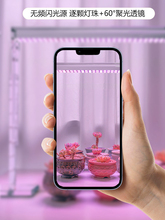 ?�����a�����ɫ��̫�ȫ���V����LEDֲ�����L�����҃�