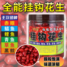 佰鱼集钓鱼全能挂钩花生淡水白红鲳鱼赤眼鲮鲤鱼花生米打窝钓鱼饵