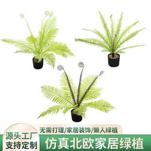 羳Gֲ [bᎧֲPβާ ˹ާ~