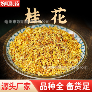  𻨲 𻨸 𻨷 l F؛ a؛Դ