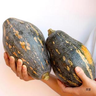 �V�������Ϲ� �����oʳ ��С�Ϲ����r�߲����l��ؐؐ�����Ϲ����l