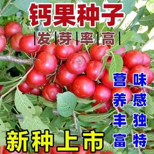 �W���}���N���r�󳬚Wϵ�Ю����_���Y���rʳ�a�}�������ԷN���}��