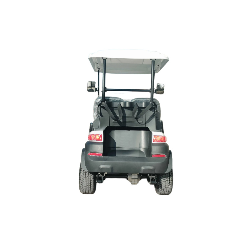 2025 New Electric Golf Cart, Strong Climbing Power, Stable Power, Anti-Slip Design in Rainy Days, a Must-Have for Players