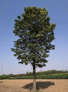 ���ع����G�����̽�z���ͩ�����̨ ˮͩ�� ���~��鱘�¶������