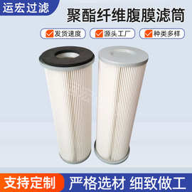 工业集尘器滤筒220x550抛丸机聚酯纤维覆膜滤筒阻燃抗高温FPPT