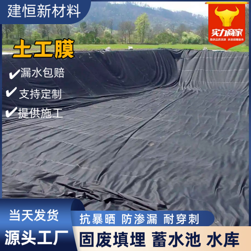 蓄水池防渗膜1.0mm景观湖人工湖农田灌溉池聚乙烯土工膜