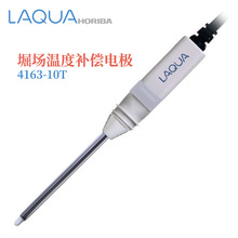 �ձ�ԭװ��ƷHORIBAܥ���¶Ȳ����缫4163-10T