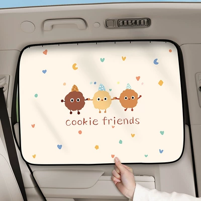 car curtain, Car curtains