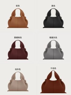 Cross-border Polen cloud bag lychee pattern dumpling-shaped women's fashion hand-held crossbody bag