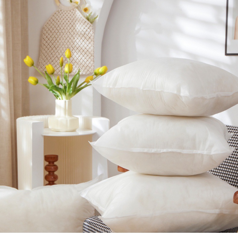Pillow Insert Image 5