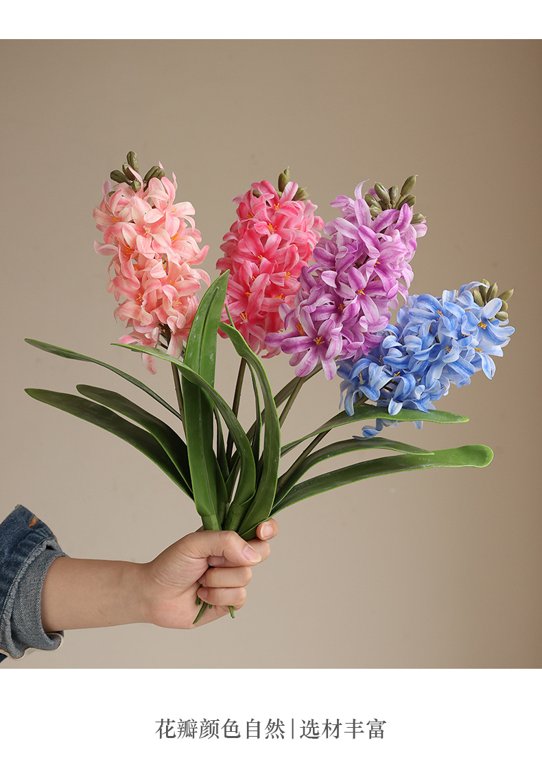 单枝手感风信子_11.jpg