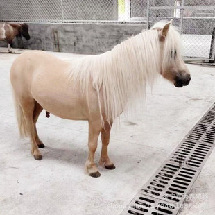 ���_�R������܇�R���_�R���ͯ�T��С�O���m���R�±��Rƥ�Bֳ��