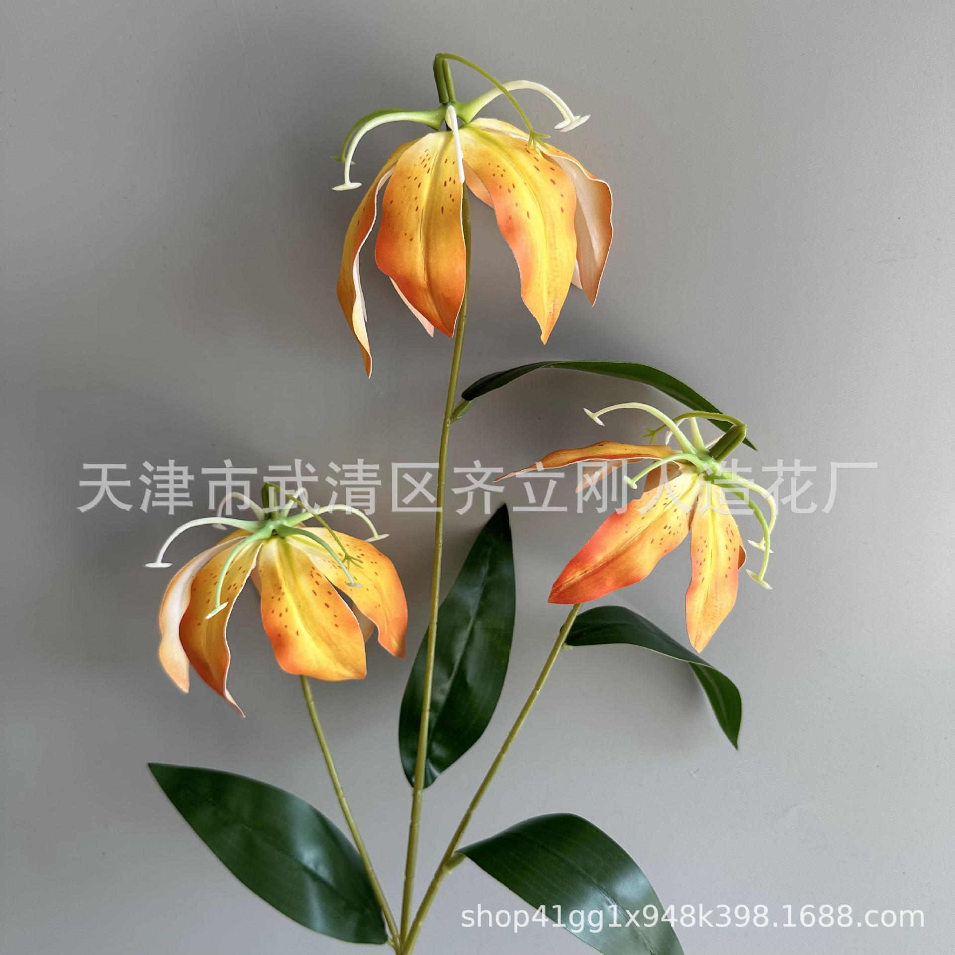 5호