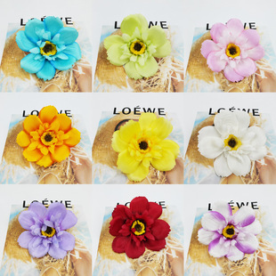 ���滨��c�û������˲�˹�ո�ɣ���h���b�DIY���h�ɻ���ˇ