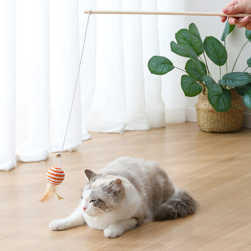Cat Funny Stick Paper Rope Braided Feather Bell Pendant Solid Wood Funny Toy Wooden Pole Cat Fighting Stick Wholesale