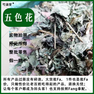 ��Ʒ��؛��ɫ����ș��500g ��ɫ÷�R�t�� �̃��� �t�ʻ��^����